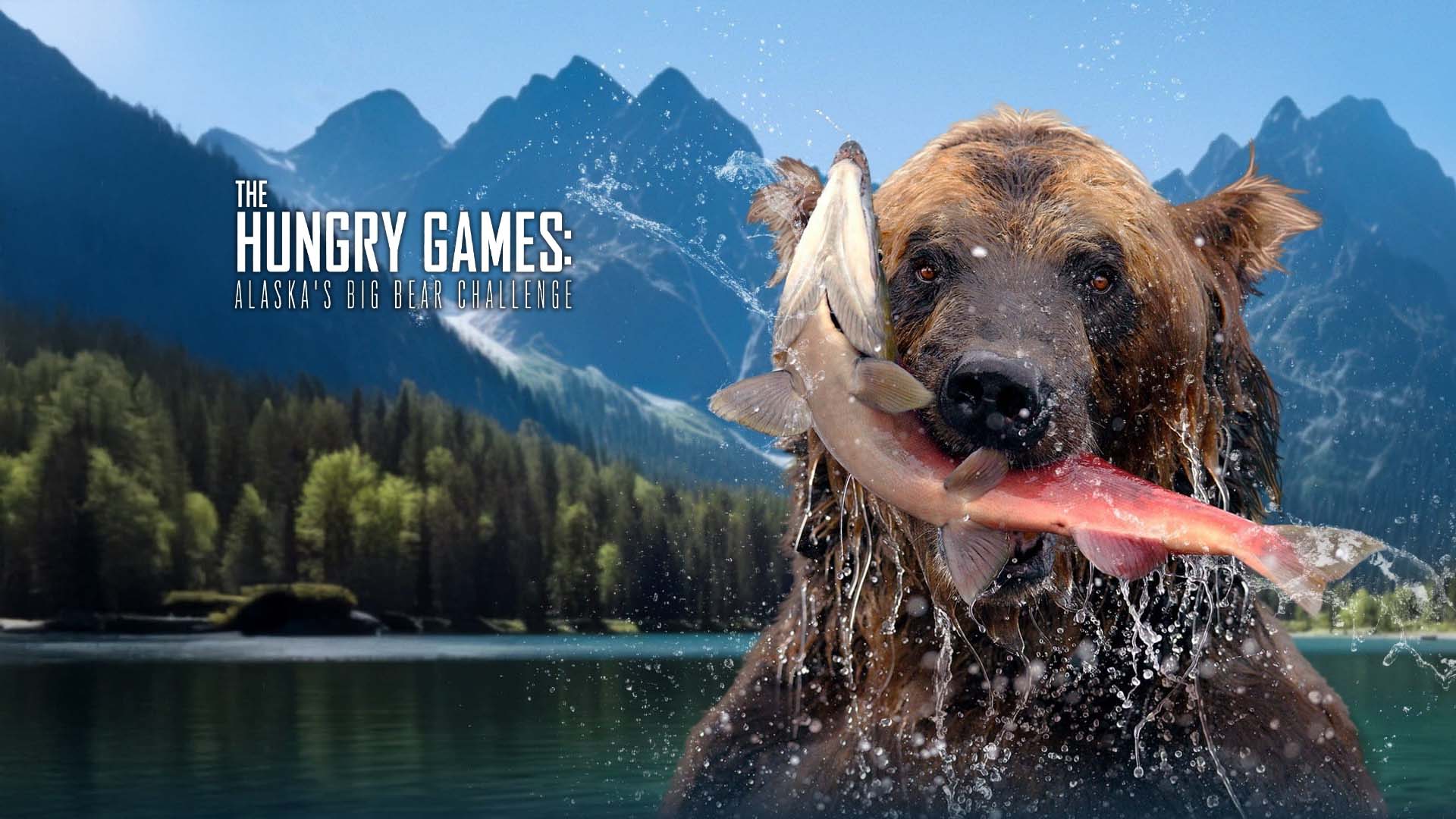 The Hungry Games: Alaska's Big Bear Challenge